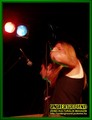 Gallery image 28