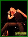 Gallery image 21
