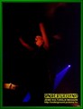 Gallery image 69