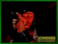 Gallery image 22