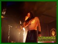 Gallery image 28