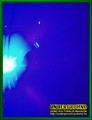 Gallery image 37