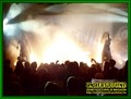 Gallery image 41