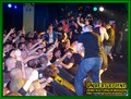 Gallery image 27