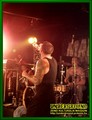 Gallery image 38