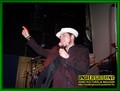 Gallery image 56