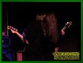 Gallery image 48