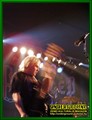 Gallery image 50