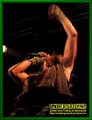 Gallery image 69