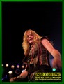 Gallery image 31