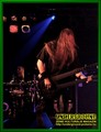 Gallery image 38