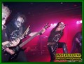 Gallery image 38