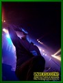 Gallery image 38