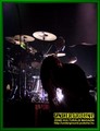Gallery image 49
