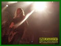 Gallery image 30