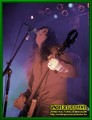 Gallery image 39