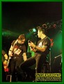 Gallery image 20