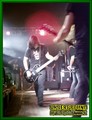 Gallery image 88