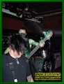 Gallery image 54