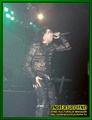 Gallery image 30
