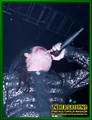 Gallery image 34