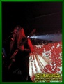 Gallery image 21