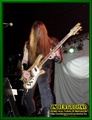 Gallery image 29
