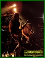 Gallery image 30