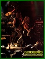 Gallery image 31