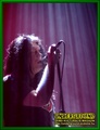 Gallery image 39