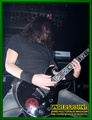Gallery image 21