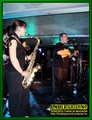 Gallery image 65