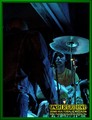 Gallery image 29