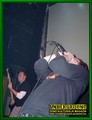 Gallery image 31