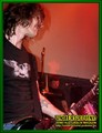 Gallery image 60