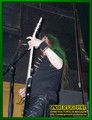 Gallery image 15