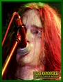 Gallery image 29