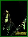 Gallery image 30