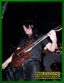 Gallery image 38