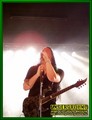 Gallery image 41