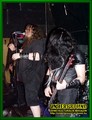 Gallery image 32