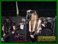 Gallery image 36
