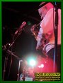 Gallery image 21
