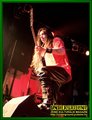 Gallery image 34