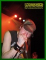 Gallery image 11