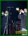 Gallery image 39