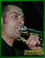 Gallery image 25