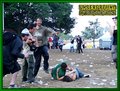 Gallery image 64