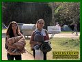 Gallery image 35