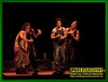Gallery image 21